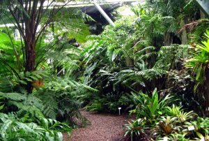 garden-maintenance-tcs-2