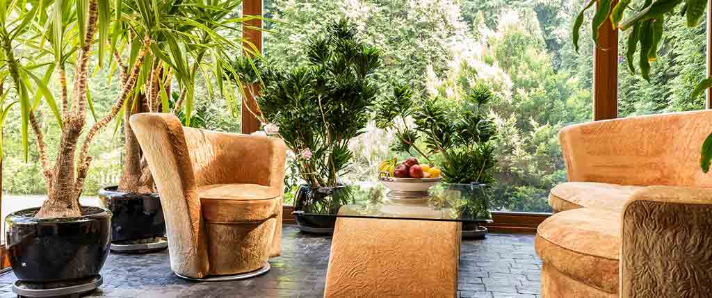 breathe-fresh-air-indoor-houseplant