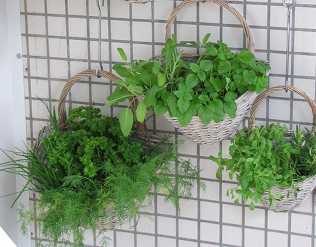 Vertical-Garden-Ideas-spice-herb-garden